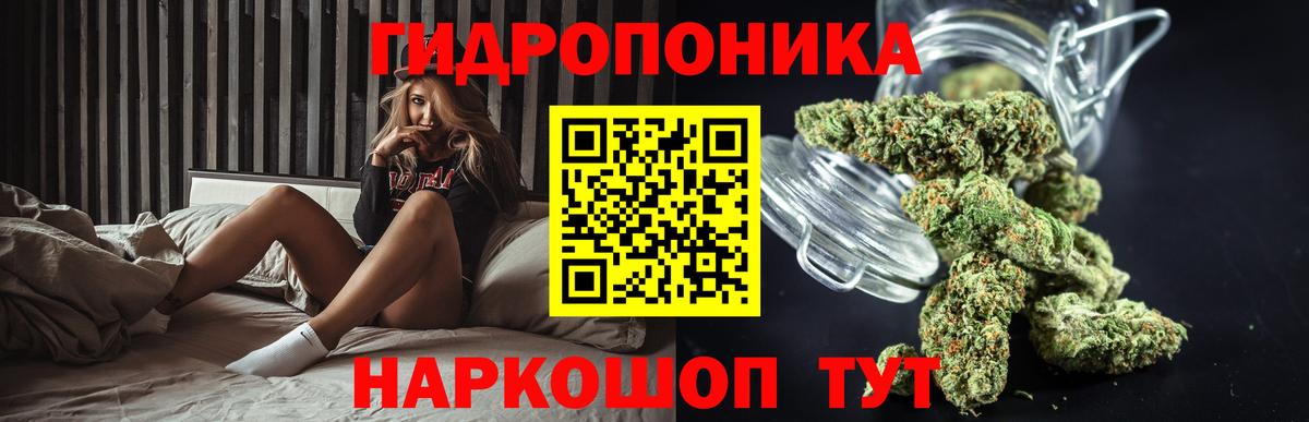 Бошки марихуана конопля  Каннабис планчик  Вход с VPN  Торжок 
